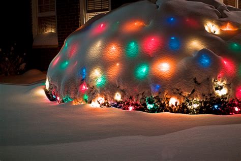 Snow Covered Christmas Lights Pictures, Photos, and Images for Facebook, Tumblr, Pinterest, and ...