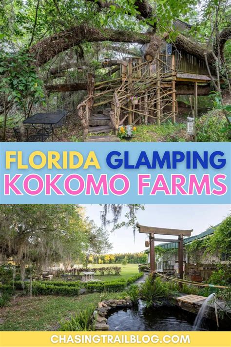 Top: a treehouse set back into live oak trees; bottom: a koi pond ...