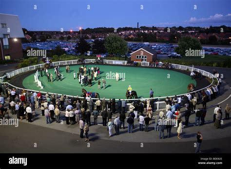 The parade ring at Wolverhampton Racecourse, Dunstall Park, Wolverhampton Stock Photo - Alamy