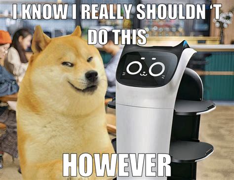 doge about to do something uncharacteristic | Know Your Meme