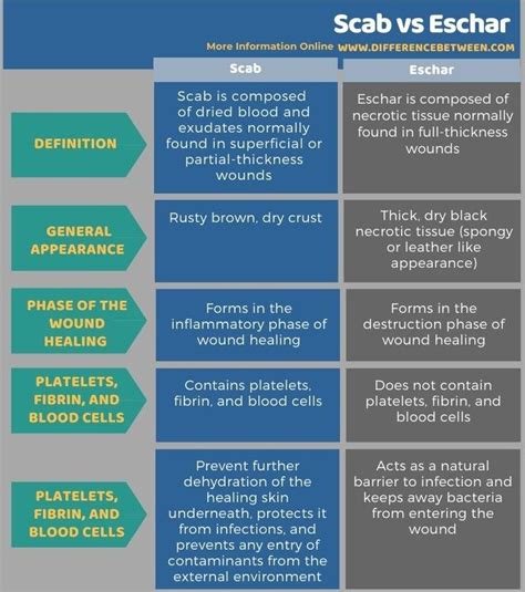 Pityriasis alba vs tinea versicolor tabular form – Artofit