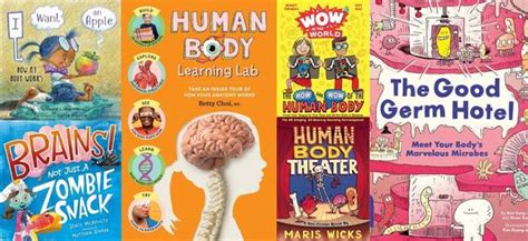 Books About the Human Body - Imagination Soup