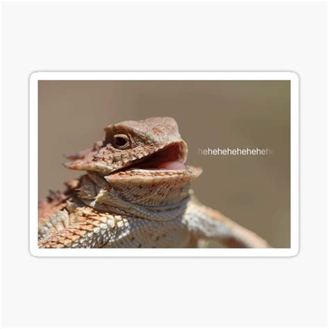 "Laughing Lizard Meme" Sticker for Sale by FlashmanBiscuit | Redbubble