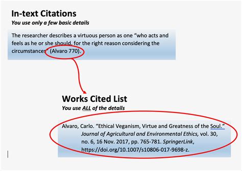 Two Types of Citation – MLA Style Citations