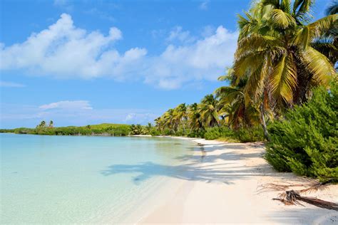 Isla Contoy | Quintana roo mexico, Quintana roo, Mexico