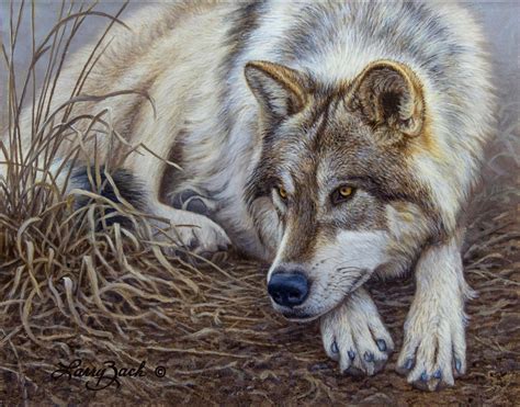 New Release Paintings by Wildlife Artist Larry Zach – Larry Zach Wildlife Art