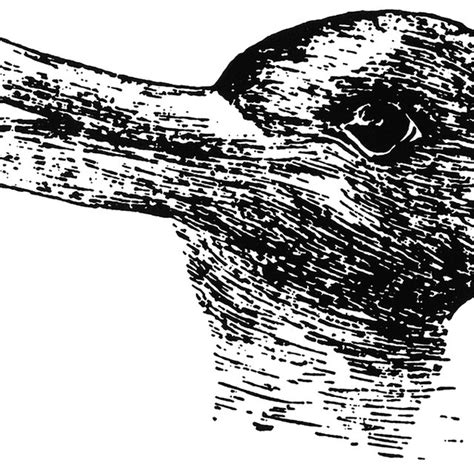 1. The rabbit-duck illusion: like this image, research findings can ...