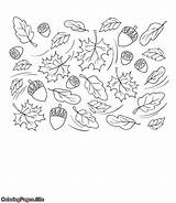 Acorns Coloring Pages sketch template