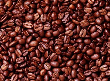 Brazil Santos Coffee Beans - Buy Coffee Online | Cafe Hernandez