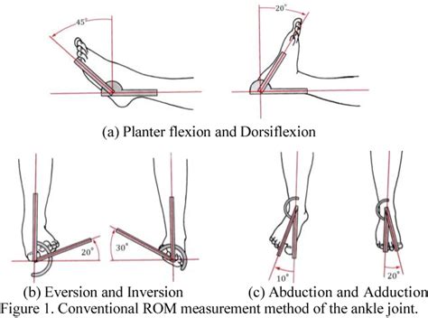 Ankle Goniometer Measurements