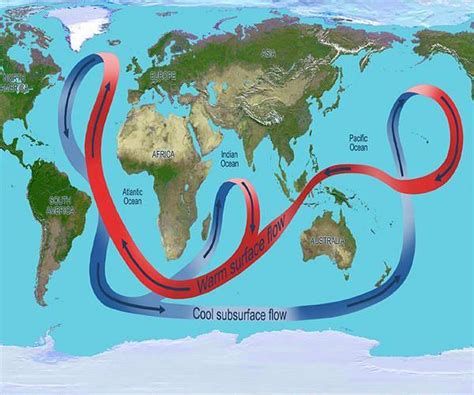 Global ocean circulation is accelerating from the surface to the abyss