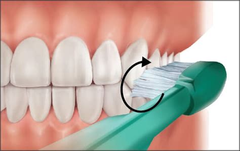 Tooth Brushing Techniques | News | Dentagama