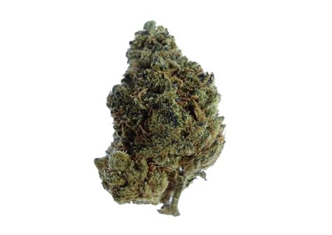 WINTER SALE: LAVA CAKE (LAVA-CKE+) - Gotham Medical and Rec Dispensary