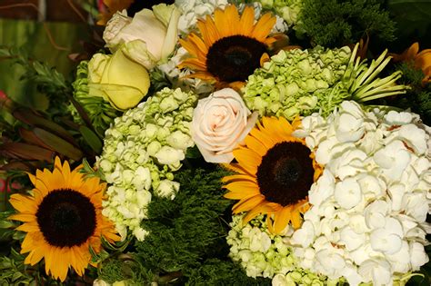 Desktop Wallpapers Bouquets Roses flower Hydrangea Sunflowers