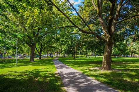 Trinity Bellwoods Park - Heroes Of Adventure