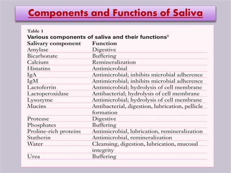 PPT - SALIVA (Composition and Functions) PowerPoint Presentation, free download - ID:5294675