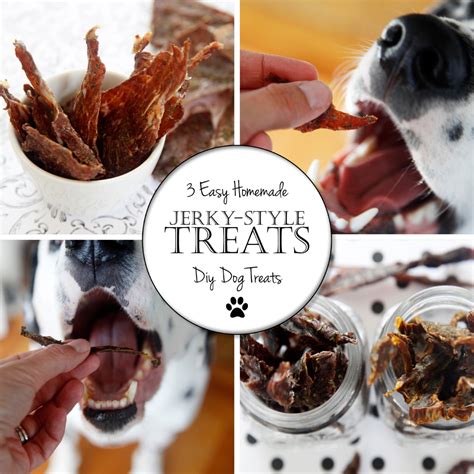 Dalmatian DIY: {RECIPE} DIY Jerky Treats for Dogs: 3 Ways!