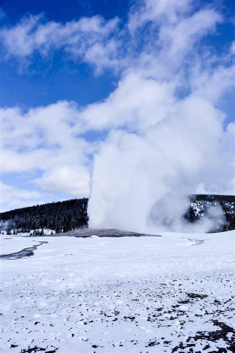 A Snow Day in Yellowstone – EJ in the Field