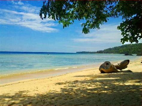 Treasure Island Beach Resort, Infanta | 2021 Updated Prices, Deals