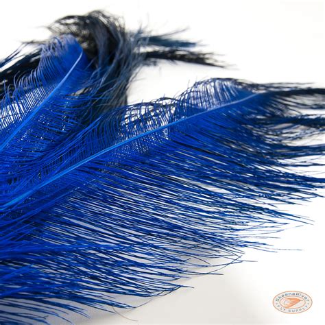 Rhea Feathers | Fly Fishing Plummage | Gear for Fly Fishing