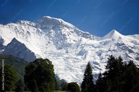 The Jungfrau with its glacier (the Giesengletscher) and the white cone of the Silberhorn ...