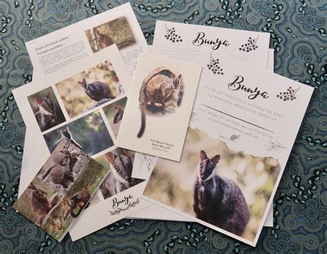 Adopt a Brush-Tailed Rock-Wallaby