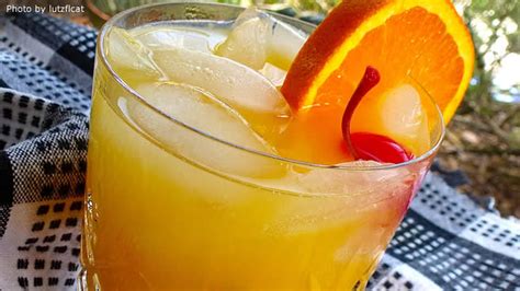 Cocktail Recipes - Allrecipes.com