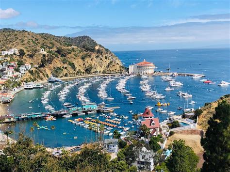 Catalina Island Moorings in Avalon & Two Harbors | Catalina Island