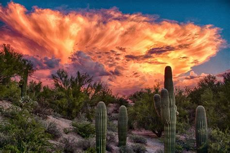 ARIZONA STORM AT SUNSET | Arizona sunset, Beautiful nature, Nature ...