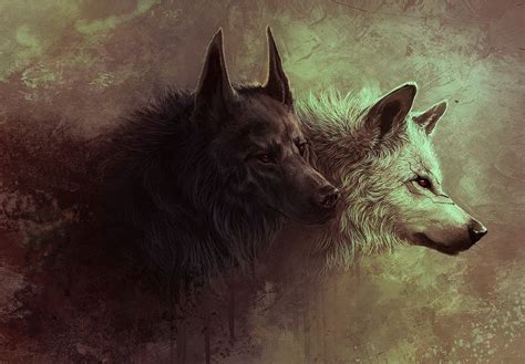 3D painting of black and white wolfs, wolf, digital art, fantasy art, artwork HD wallpaper ...