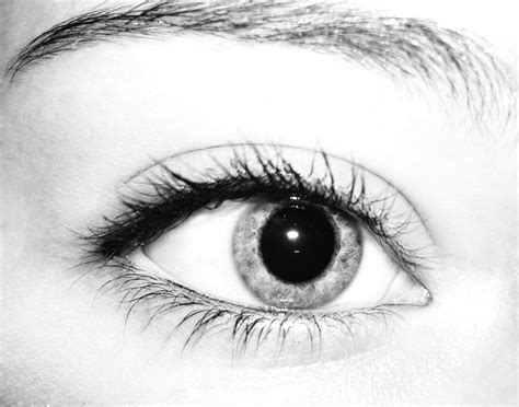 Black and white eye-stock by Swordexpert-Stock on DeviantArt