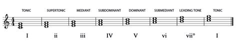 16-Diatonic Chords | Music Student 101