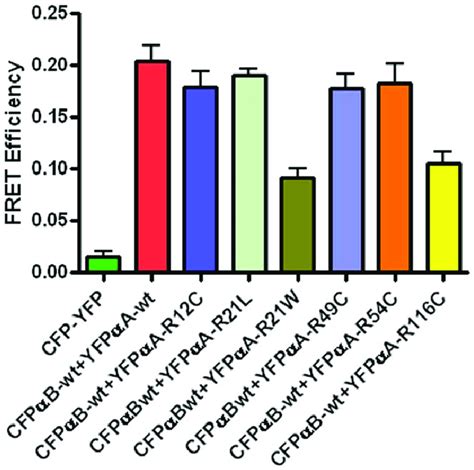 Bar diagram showing the level of FRET efficiency. FRET efficiency... | Download Scientific Diagram