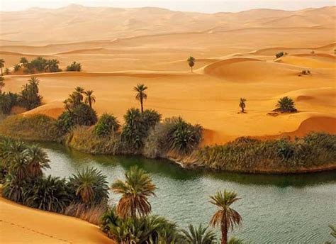 Oasis Sahara Desert Life, Desert Oasis, Beautiful World, Beautiful ...