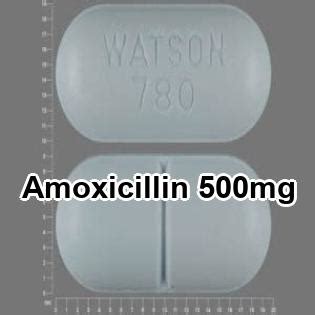 Can you take amoxicillin 500mg while pregnant, amoxicillin 500mg in pregnancy – Online drug shop ...