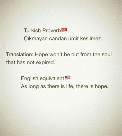 A Turkish Proverb | Turkish quotes, Words quotes, Pretty quotes