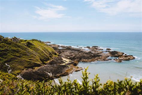 16 Curious and Diverse Oregon Coast Tide Pools You Must Visit - The ...