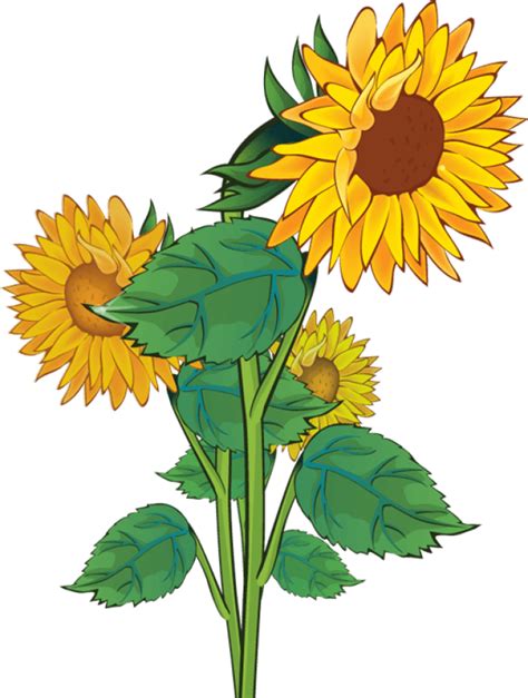 Free Sunflower School Cliparts, Download Free Clip Art, Free Clip Art ...