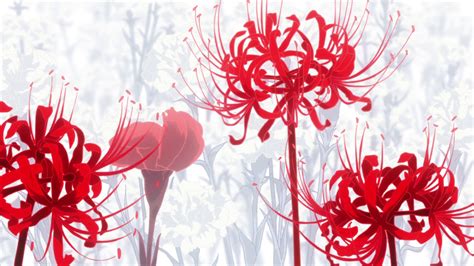 Pin by Rainbowvy on Tattoo | Tokyo ghoul flower, Tokyo ghoul wallpapers, Red spider lily