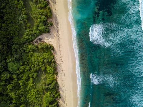 Aerial View Of Tropical Beach Photo Background And Picture For Free ...