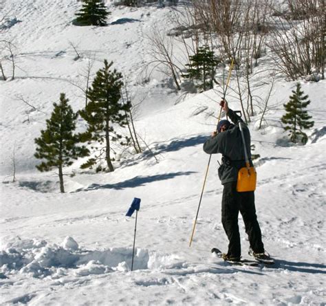 Tahoe crews prepare for avalanche rescues - Lake Tahoe NewsLake Tahoe News