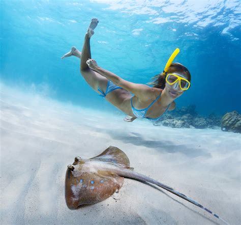 Pinel Island Snorkeling Trail Entrance in St. Martin - Book Online from $12