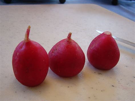 Bringing Home the Brakebush: Edible Vegetable Flowers