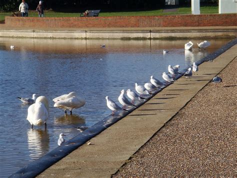 Hove Daily Photo: Hove Lagoon