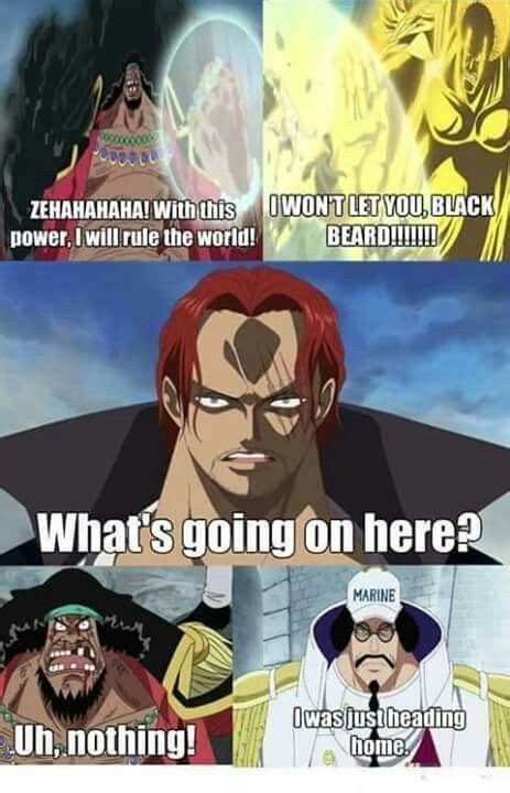 Haha Shanks | One piece funny, One piece meme, One piece quotes