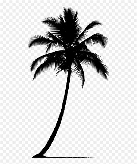 Arecaceae Silhouette Tree - Palm Tree Silhouette Png Clipart (#1738941 ...