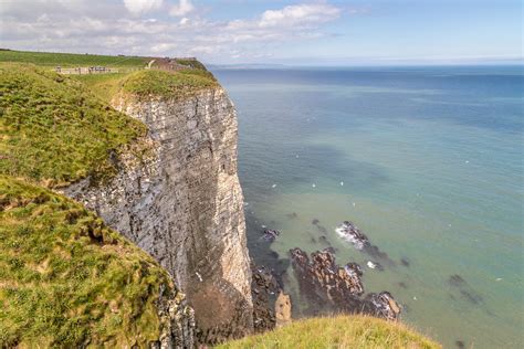 Bempton Cliffs walk - Bempton RSPB walk - puffins East Yorkshire