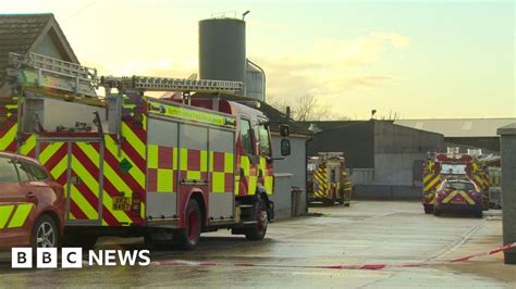 Thirty pigs dead after slurry pit incident in County Antrim - BBC News