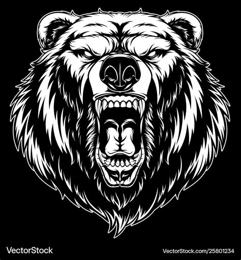 Head a ferocious grizzly bear Royalty Free Vector Image