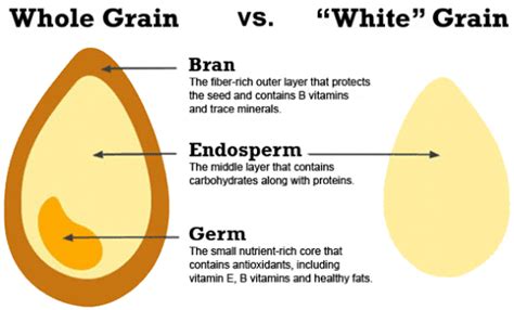 WHY REFINED CARBS ARE BAD FOR YOU | RZone Fitness